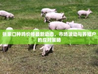 張家口種雞價格最新動態(tài)，市場波動與養(yǎng)殖戶的應(yīng)對策略