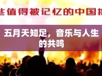 五月天知足，音樂(lè)與人生的共鳴