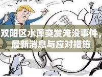 雙陽區(qū)水庫突發(fā)淹沒事件，最新消息與應(yīng)對措施