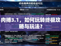 肉搏3.1，如何玩轉(zhuǎn)終極攻略與玩法？