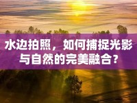 水邊拍照，如何捕捉光影與自然的完美融合？