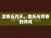 澀香五月天，音樂與青春的共鳴