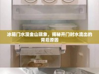 冰箱門水漫金山現(xiàn)象，揭秘開門時(shí)水流出的背后原因
