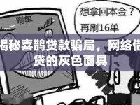揭秘喜鵲貸款騙局，網(wǎng)絡(luò)借貸的灰色面具