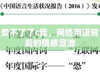 受不了了c我，網(wǎng)絡(luò)用語背后的情感宣泄