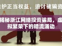 揭秘浙江網(wǎng)絡(luò)投資騙局，虛擬繁榮下的暗流涌動(dòng)