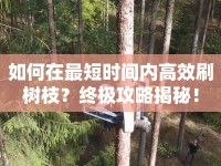 如何在最短時(shí)間內(nèi)高效刷樹枝？終極攻略揭秘！