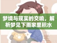 夢境與現(xiàn)實(shí)的交響，解析夢見下雨家里積水流出的深層含義