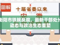 衡陽(yáng)市鐵腕反腐，最新干部處分動(dòng)態(tài)與政治生態(tài)重塑
