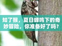 知了猴，夏日蟬鳴下的奇妙冒險(xiǎn)，你準(zhǔn)備好了嗎？
