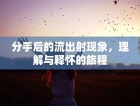 分手后的流出射現(xiàn)象，理解與釋懷的旅程