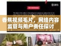 香蕉視頻毛片，網(wǎng)絡(luò)內(nèi)容監(jiān)管與用戶責(zé)任探討