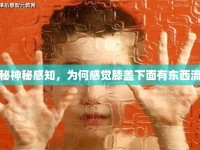 揭秘神秘感知，為何感覺膝蓋下面有東西流出