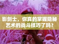影劍士，你真的掌握隱秘藝術(shù)的戰(zhàn)斗技巧了嗎？