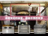 冰箱背后的秘密，揭秘水滴的來源
