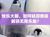 快樂大腳，如何暢游南極解鎖無限樂趣？