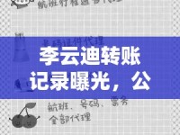 李云迪轉(zhuǎn)賬記錄曝光，公眾人物隱私與法律邊界的雙重探討