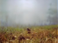 神仙居所真的存在嗎？探尋傳說中的超然秘境