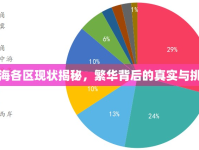 上海各區(qū)現(xiàn)狀揭秘，繁華背后的真實與挑戰(zhàn)