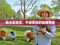 喝水后反流，不容忽視的健康警報(bào)