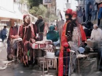 如何在軒轅傳奇手游中馳騁草原，成為賽馬高手？