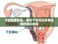 子宮健康警報，解讀子宮流出發(fā)黑血液的背后真相