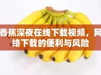 香蕉深夜在線下載視頻，網(wǎng)絡(luò)下載的便利與風(fēng)險(xiǎn)