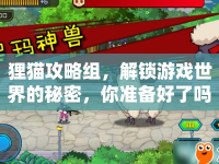 貍貓攻略組，解鎖游戲世界的秘密，你準(zhǔn)備好了嗎？