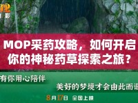MOP采藥攻略，如何開啟你的神秘藥草探索之旅？