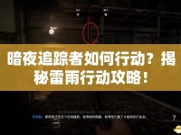 暗夜追蹤者如何行動？揭秘雷雨行動攻略！