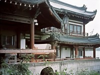 天龍手游屬性攻擊如何打造極致輸出？