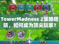 TowerMadness 2策略塔防，如何成為頂尖玩家？