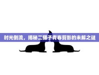 時(shí)光倒流，揭秘二貓子青春剪影的未解之謎
