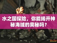 水之國探險，你能揭開神秘海域的奧秘嗎？