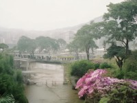 AO3中文官網：你的創(chuàng)作天堂還是版權雷區(qū)？