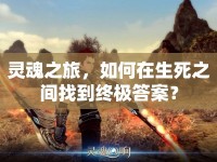 靈魂之旅，如何在生死之間找到終極答案？