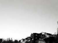 如何通過水川堇的文學(xué)洞見細膩情感與深刻哲思？