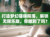 打造夢幻貓咪院落，解鎖無限樂趣，你做到了嗎？