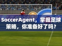SoccerAgent，掌握足球策略，你準(zhǔn)備好了嗎？