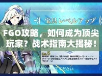 FGO攻略，如何成為頂尖玩家？戰(zhàn)術(shù)指南大揭秘！