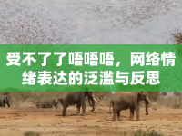受不了了唔唔唔，網(wǎng)絡(luò)情緒表達(dá)的泛濫與反思