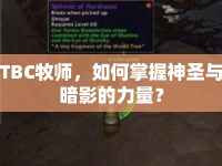 TBC牧師，如何掌握神圣與暗影的力量？