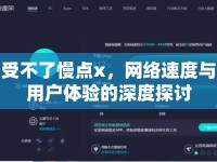受不了慢點x，網(wǎng)絡速度與用戶體驗的深度探討