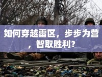 如何穿越雷區(qū)，步步為營，智取勝利？