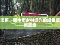 雙溪鎮(zhèn)，麗水市鄉(xiāng)村振興的綠色崛起新篇章
