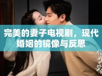 完美的妻子電視劇，現(xiàn)代婚姻的鏡像與反思