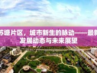 蘇塘片區(qū)，城市新生的脈動(dòng)——最新發(fā)展動(dòng)態(tài)與未來展望