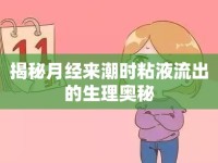 揭秘月經(jīng)來潮時(shí)粘液流出的生理奧秘
