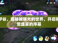 夢谷，揭秘被曝光的世界，開啟視覺盛宴的序幕