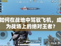 如何在戰(zhàn)地中駕馭飛機，成為戰(zhàn)場上的絕對王者？